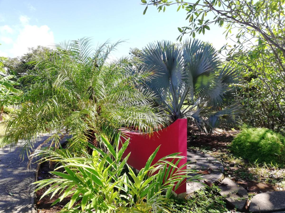 לוס דוארטה Punta Duarte Garden Inn מראה חיצוני תמונה